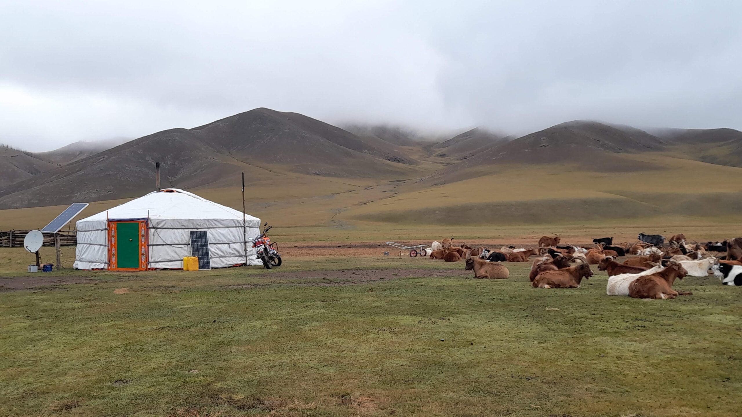 Unterwegs in der Mongolei