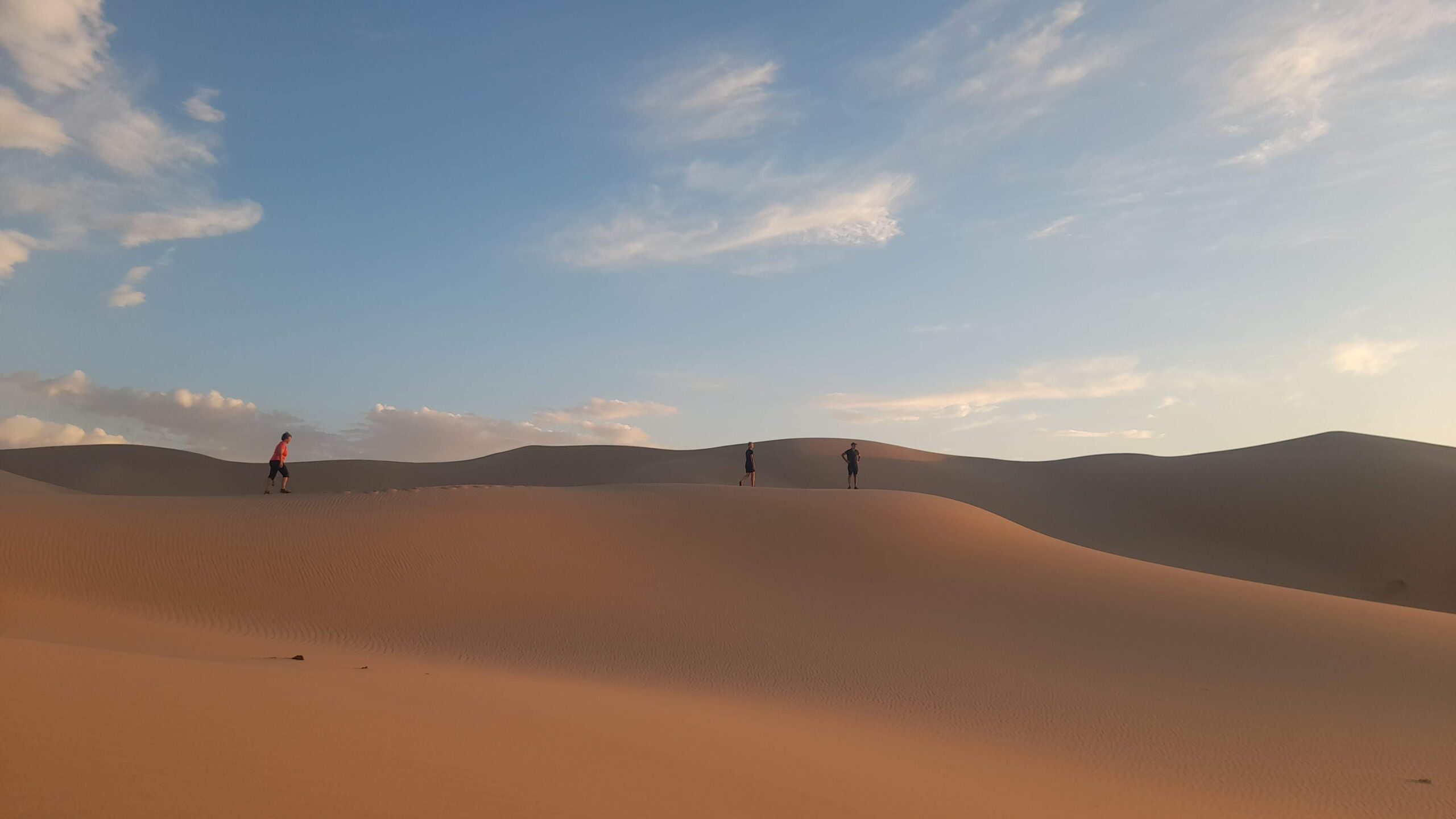 Abendstimmung in der Steppe